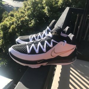 Lebron Air Max Basketball / Lifestyle Shoes